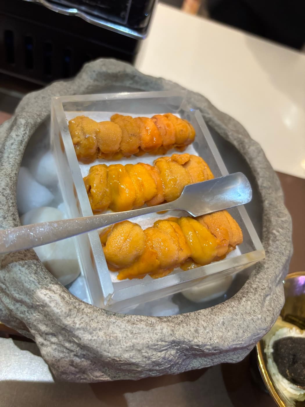 Fresh sea urchin on ice